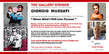 Gallery Steiner - Vienna